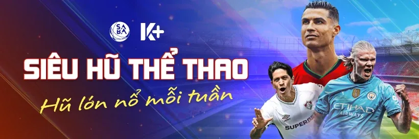 Hình ảnh tổng hợp các môn thể thao khác nhau như bóng chuyền, quyền anh